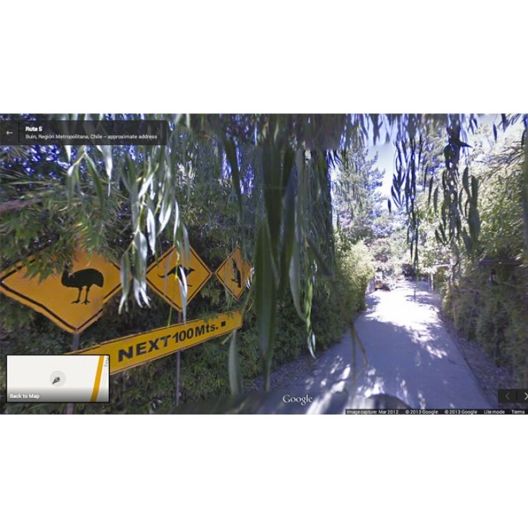Ahora Google Street View muestra el interior de los zoolgicos