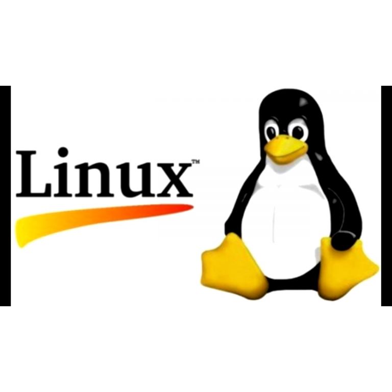 Linus Torvalds anuncia lanzamiento oficial de nueva versin del ncleo Linux con soporte a largo plazo
